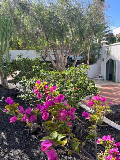 Casa Chili Daire Costa Teguise Dış mekan fotoğraf